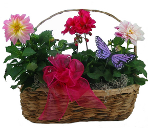 Basket of Blooms -A local Pittsburgh florist for flowers in Pittsburgh. PA