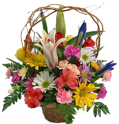 Spring Basket with curly willow -A local Pittsburgh florist for flowers in Pittsburgh. PA