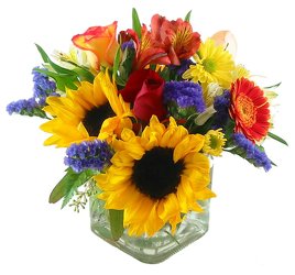 Sunrise Glory -A local Pittsburgh florist for flowers in Pittsburgh. PA