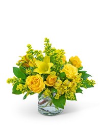 Radiant Joy -A local Pittsburgh florist for flowers in Pittsburgh. PA