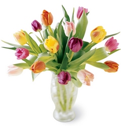 Mixed tulip vase -A local Pittsburgh florist for flowers in Pittsburgh. PA