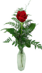 Rose in Bud Vase -A local Pittsburgh florist for flowers in Pittsburgh. PA