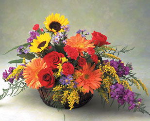 Fall Field of Flowers -A local Pittsburgh florist for flowers in Pittsburgh. PA