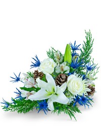 Blue Moon Frost -A local Pittsburgh florist for flowers in Pittsburgh. PA