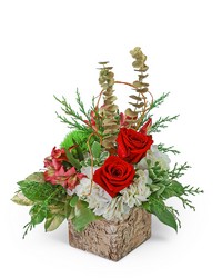 Noel Peace -A local Pittsburgh florist for flowers in Pittsburgh. PA